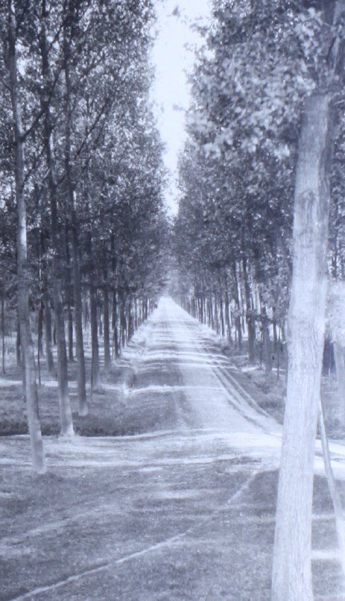 Up the river from Antwerp 