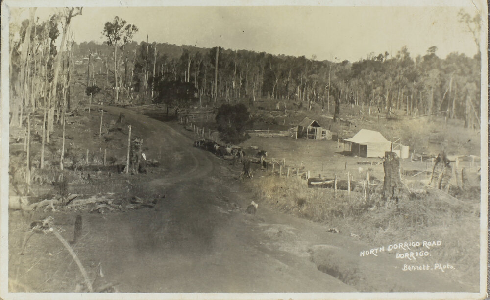 North Dorrigo Road, Dorrigo