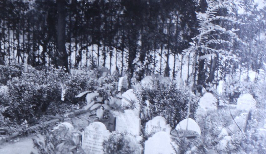 Dog Cemetery, Hyde Park 