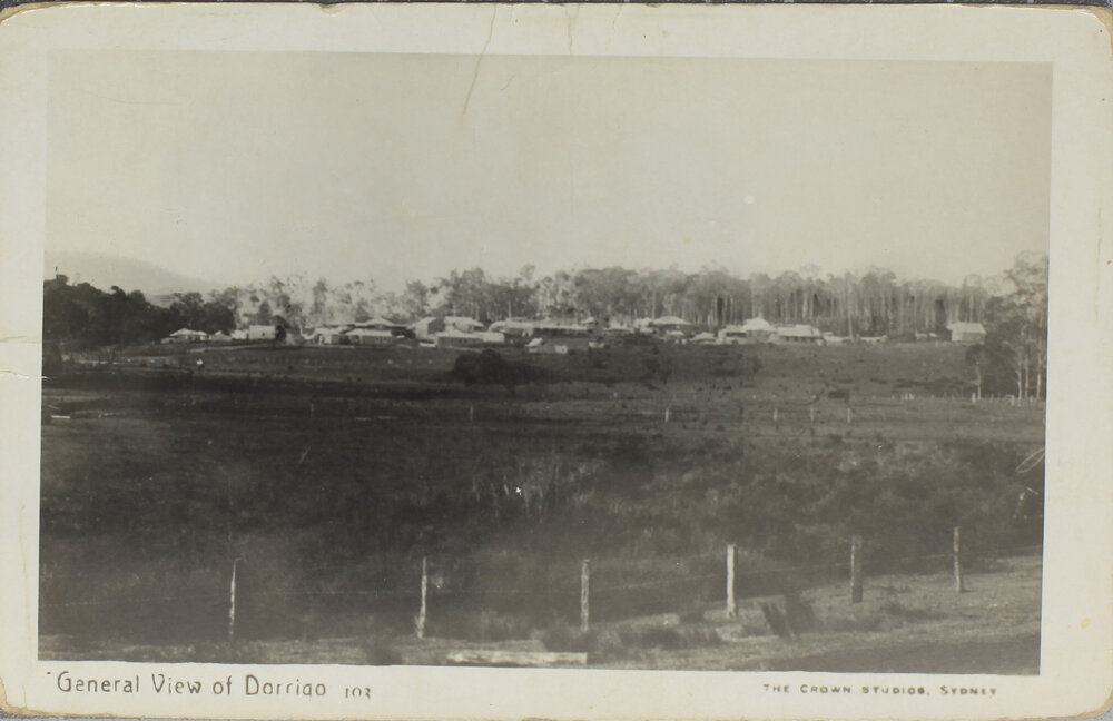 No 103 General View of Dorrigo