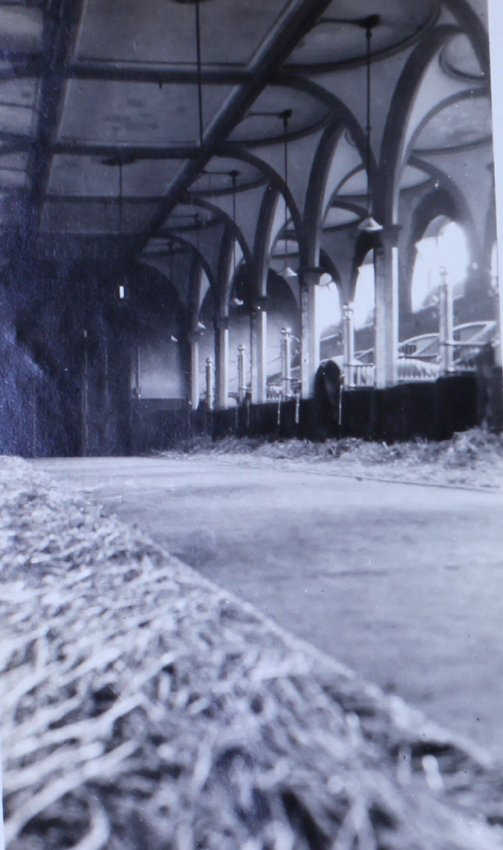 Royal Mews, Buckingham Palace 