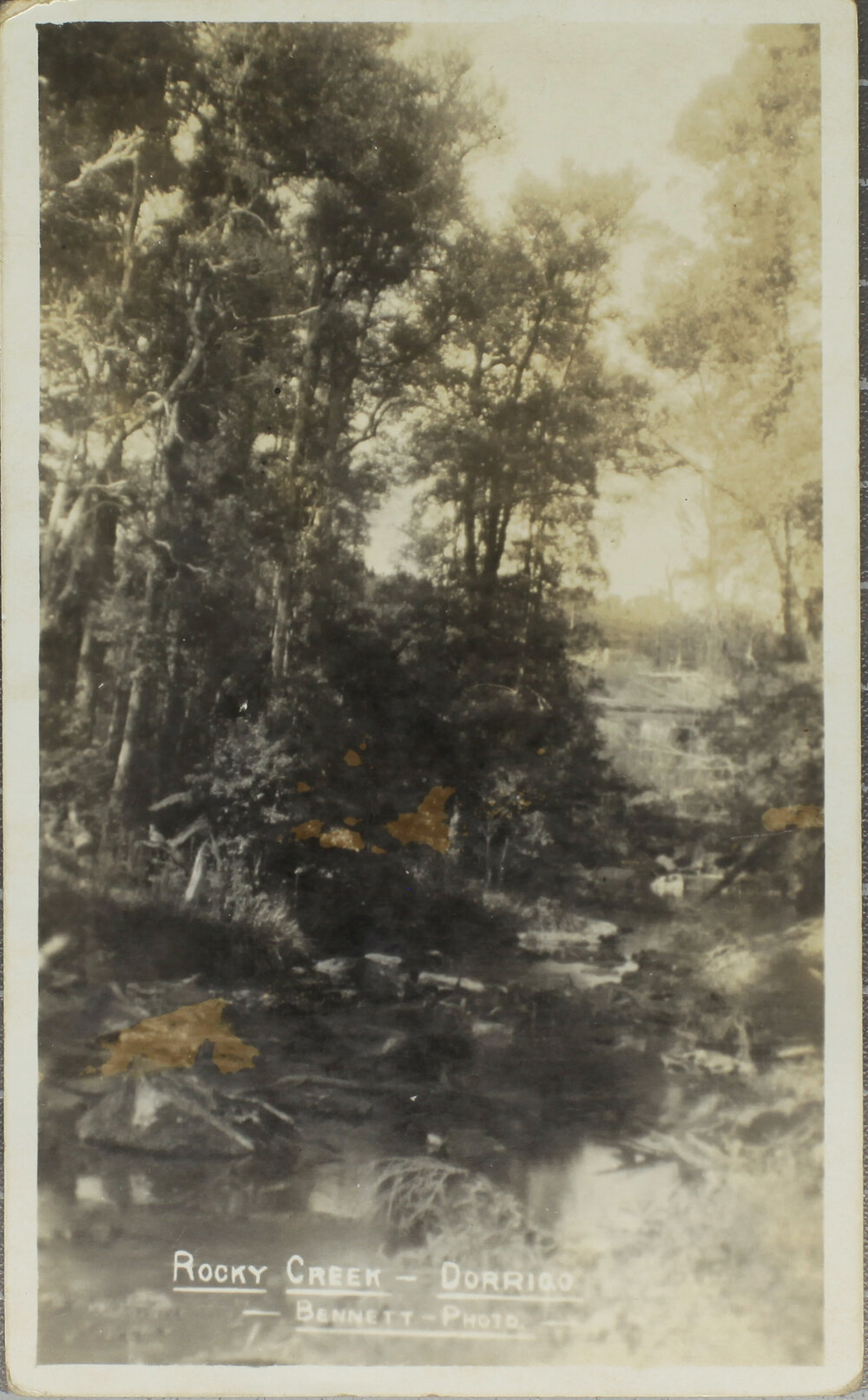 Rocky Creek, Dorrigo