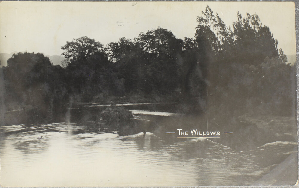 The Willows