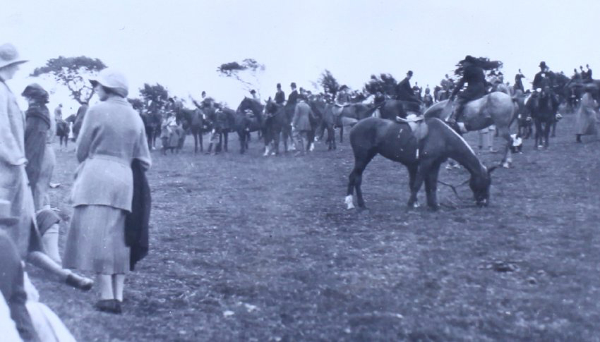 Meet Devon, Somerset stag hounds 