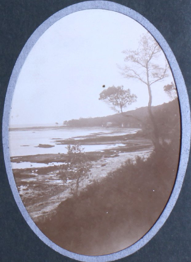 Shoreline/beach scene