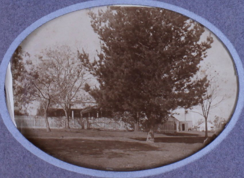 View of a house with large trees in the foreground