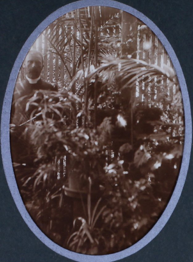 Unidentified man with ferns in a greenhouse