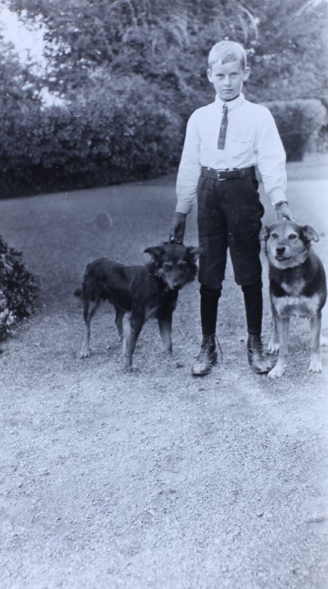 Young boy with two pet dogs