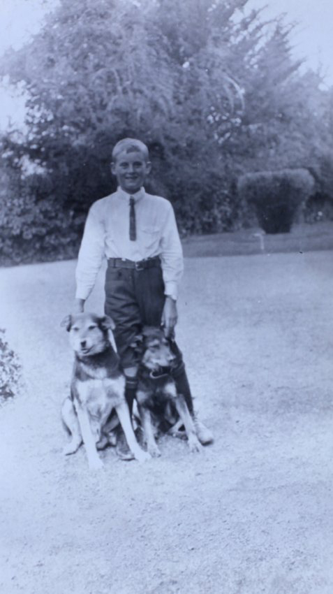 Young boy with two pet dogs