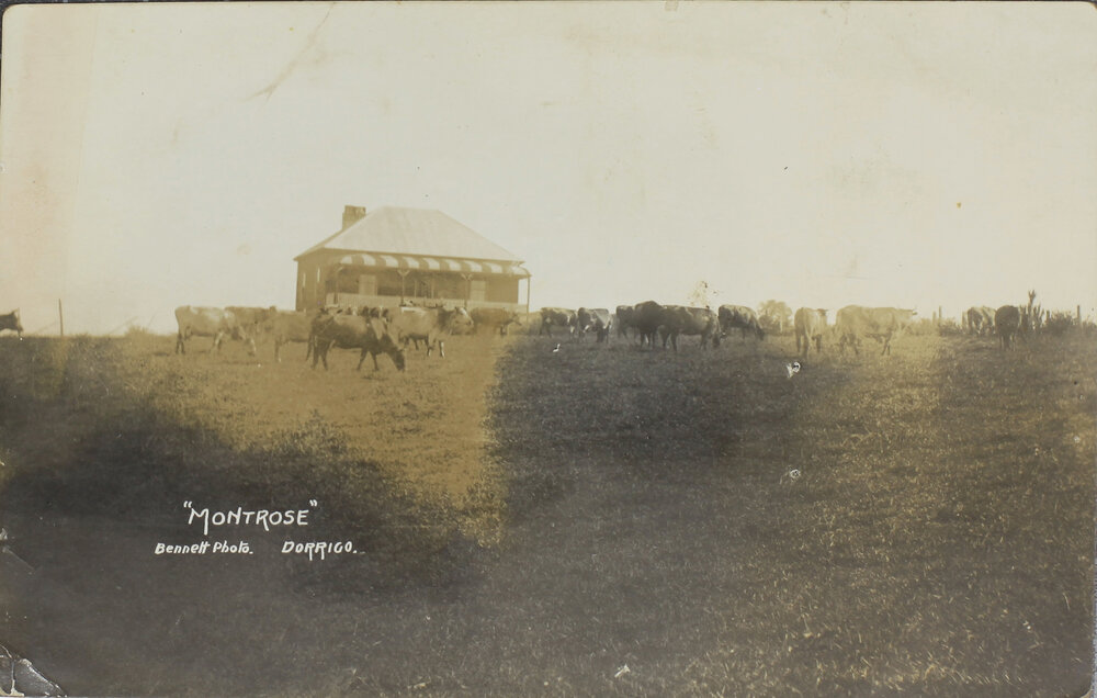 "Montrose", Dorrigo