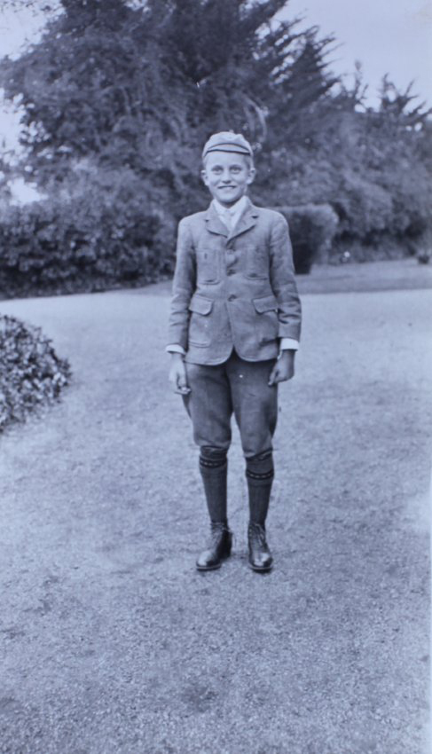 Young boy standing on the lawn