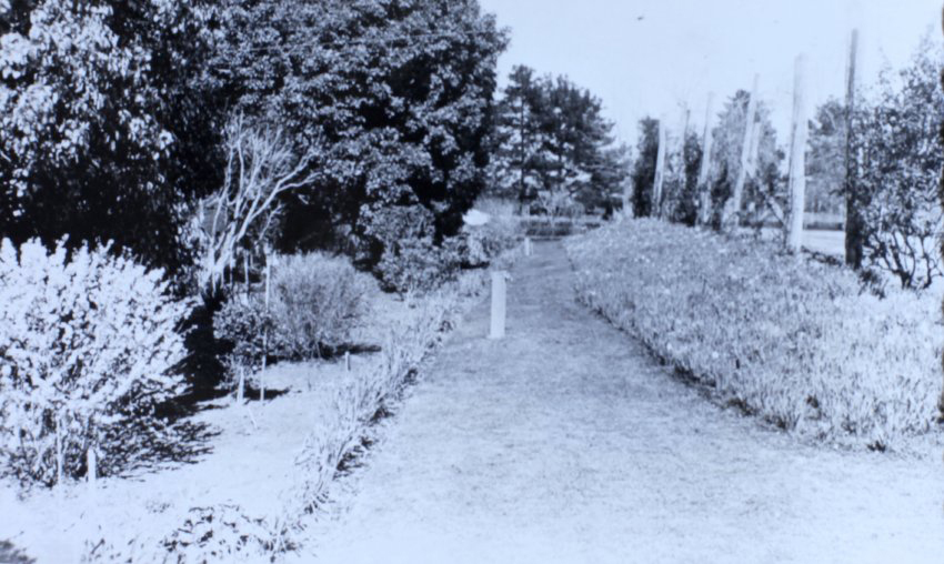 Gardens beside the tennis court, Saumarez Homestead