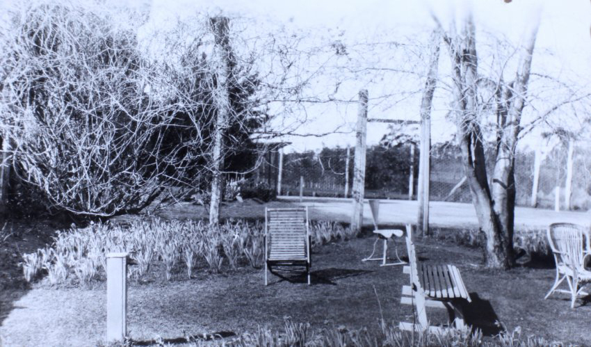 Gardens beside the tennis court, Saumarez Homestead