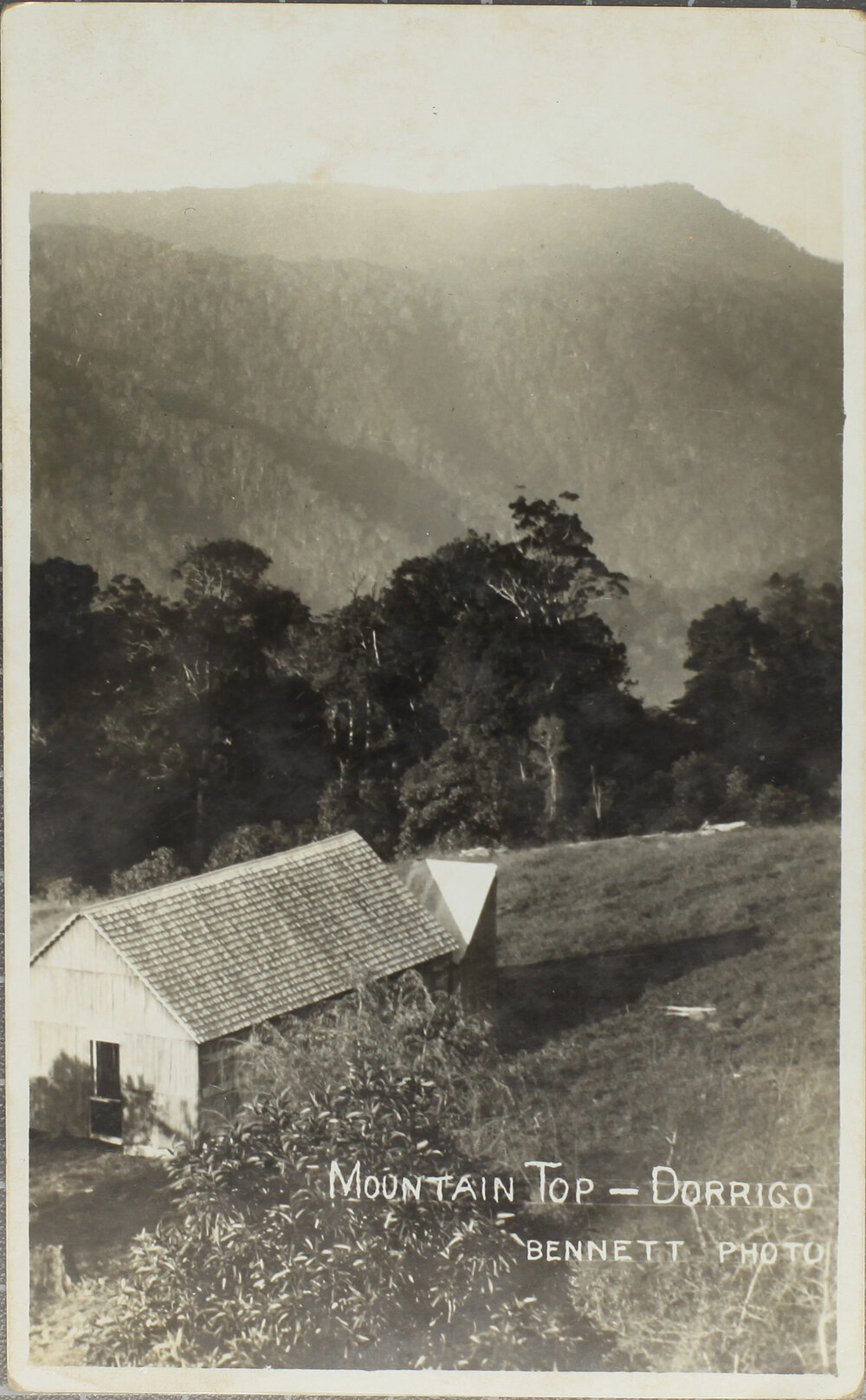 Mountain Top, Dorrigo