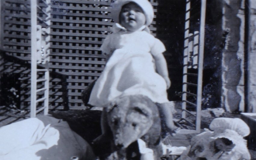 Jill Cullen - 1 year 