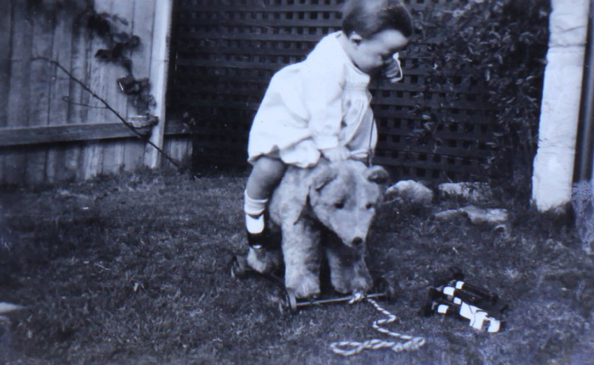 Jill Cullen - 1 year and 10 months 