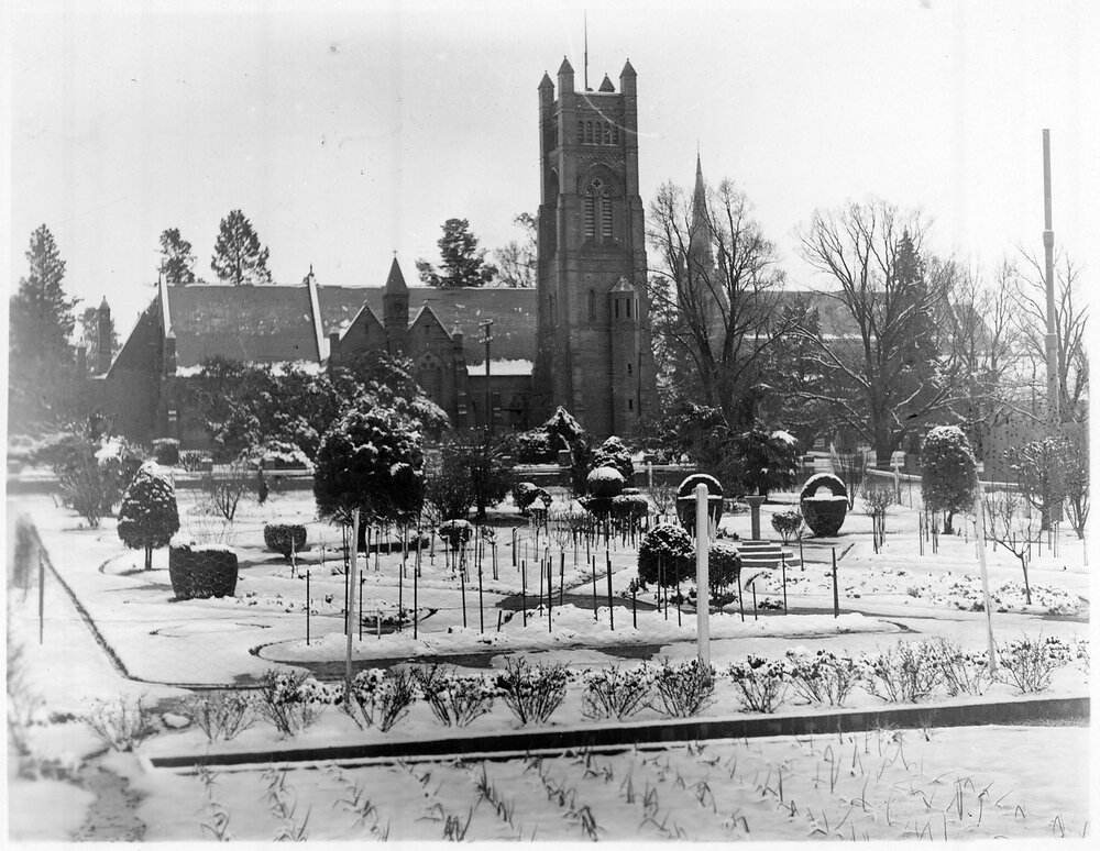 View from Tattersalls garden to St Peter's Cathedral, 1949