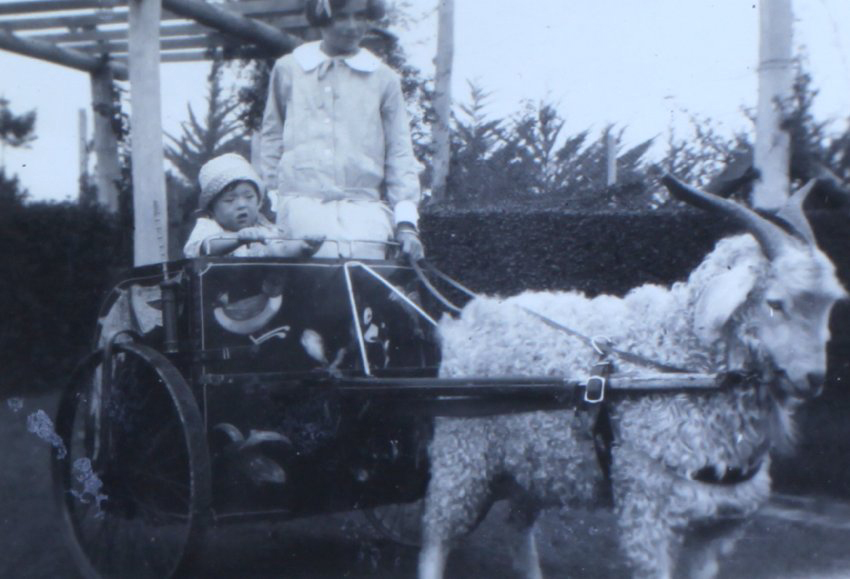 Jill Cullen - 2 years and 5 months 