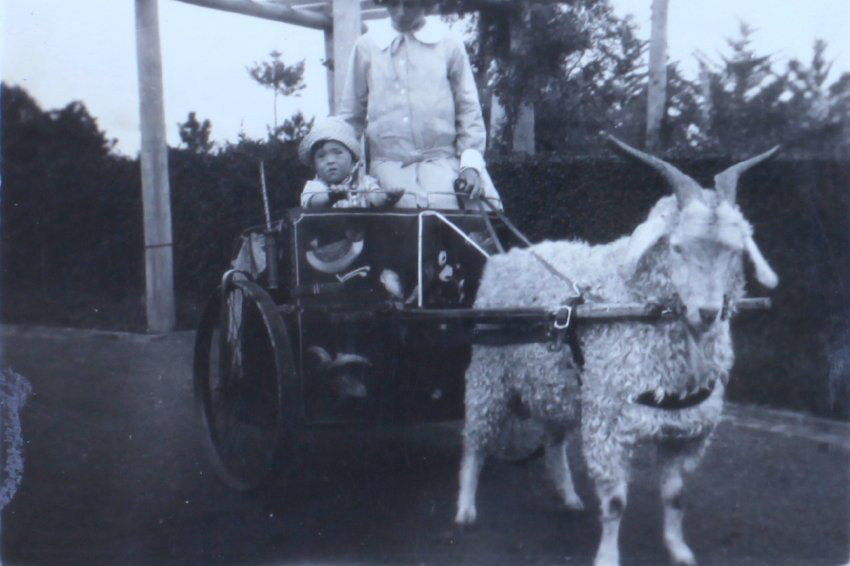 Jill Cullen - 2 years and 5 months 