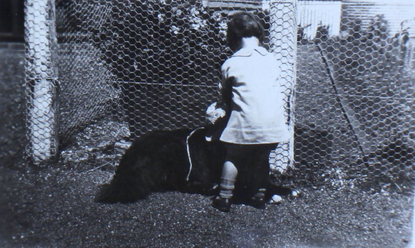 Jill Cullen - 2 years and 5 months 