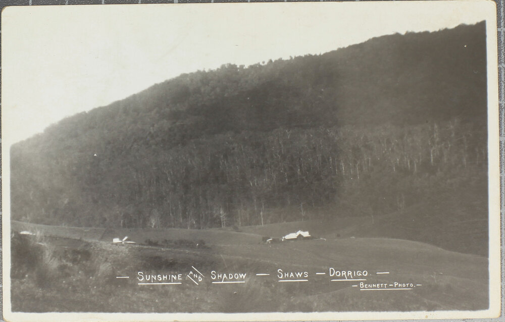 Sunshine and Shadow, Shaws, Dorrigo