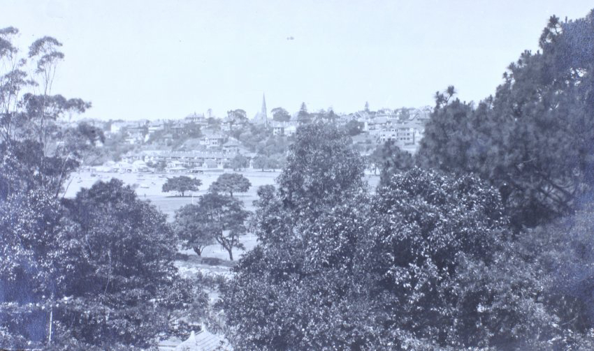 View of an unknown town through the trees