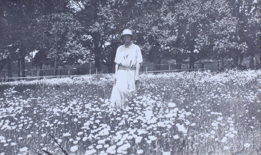 Unknown woman in a field of flowers