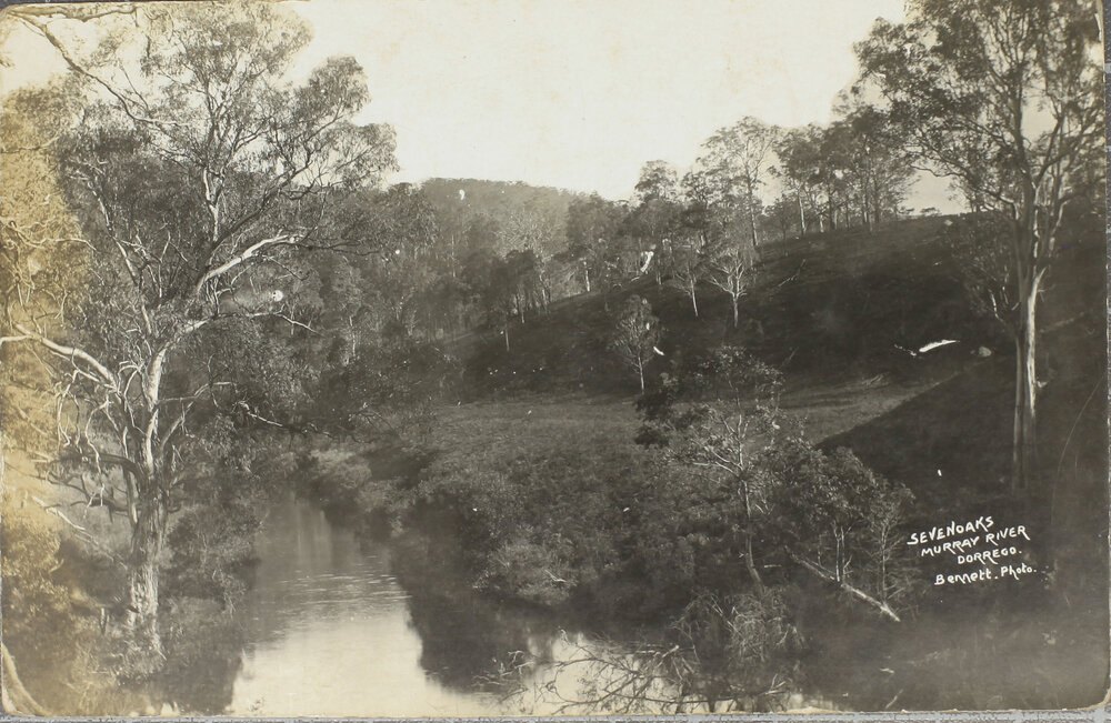Sevenoaks, Murray River, Dorrigo