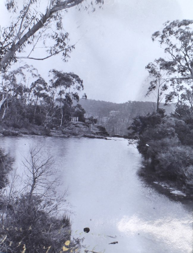 Trout stream, Fitzroy Falls 
