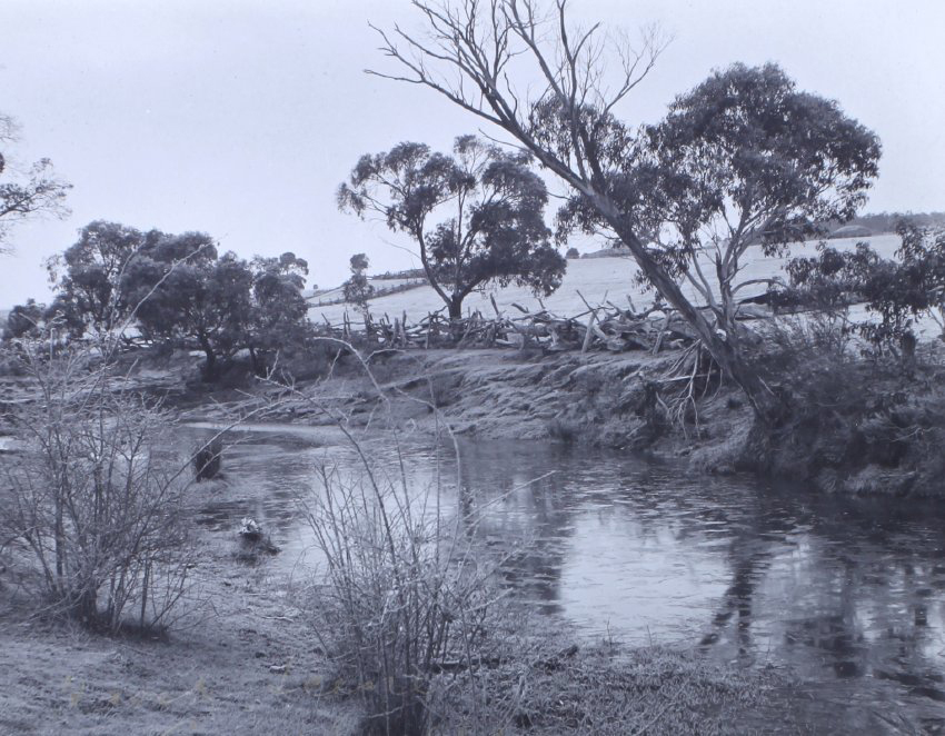 Brook scene, Crookwell 