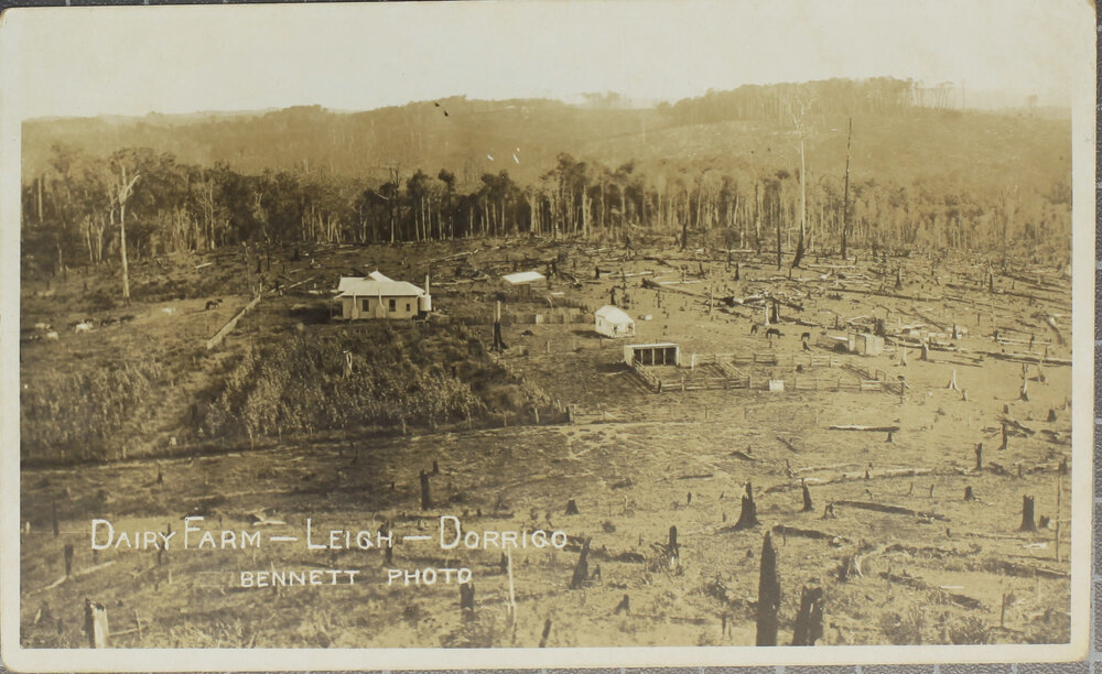 Dairy Farm, Leigh, Dorrigo