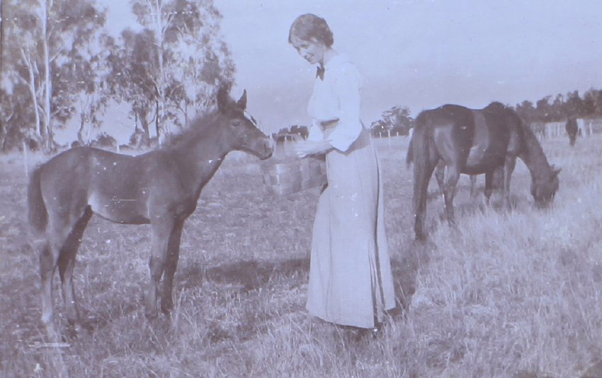 Unidentified woman with a foal
