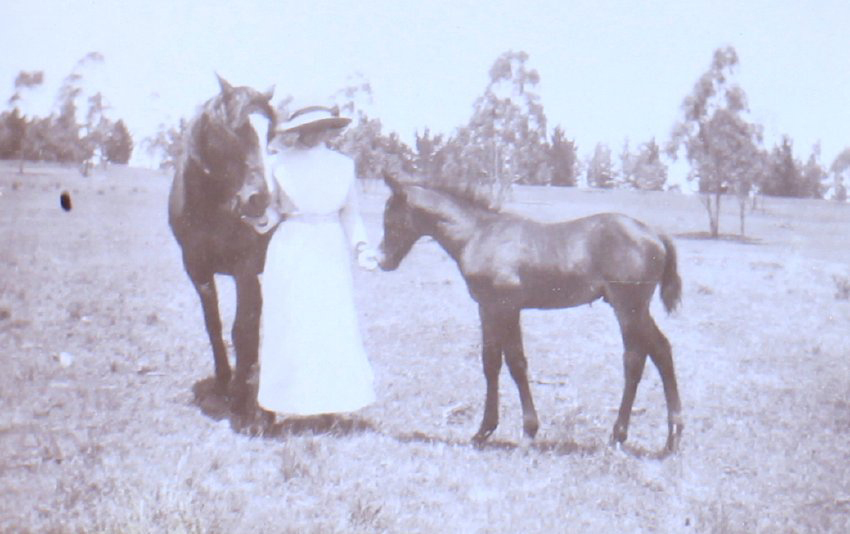 Unidentified woman with a mare and foal