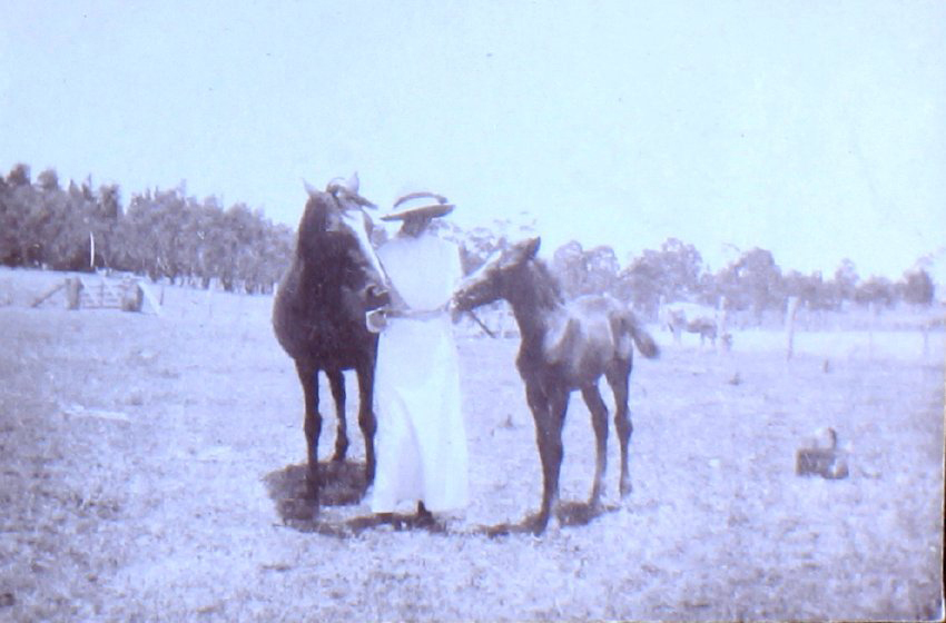 Unidentified woman with a mare and foal