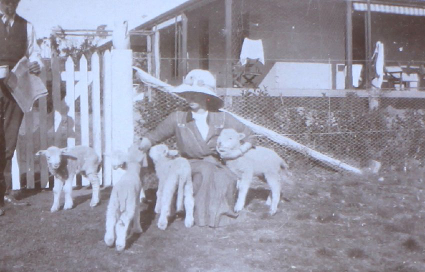 Unidentified man and woman with four lambs