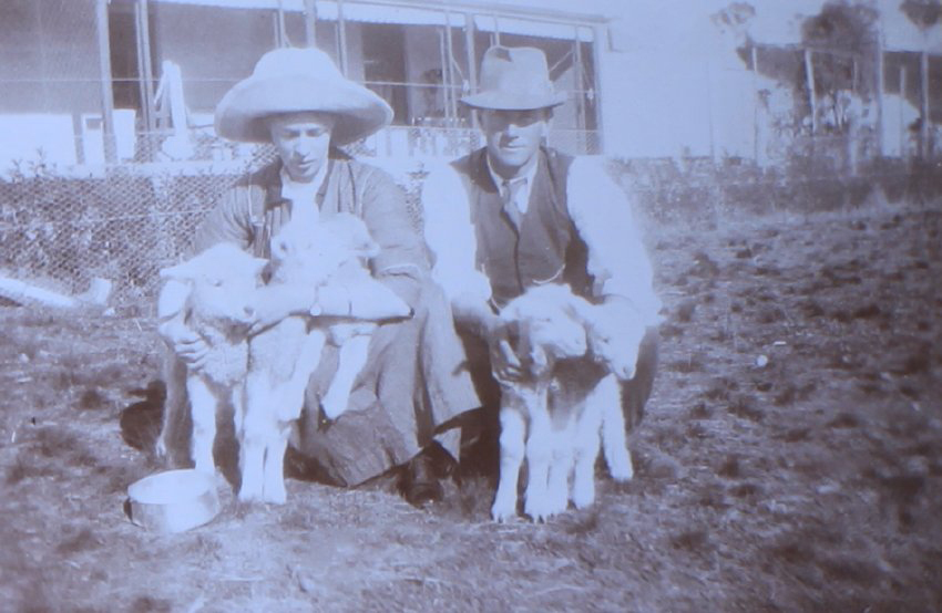 Unidentified couple with five pet lambs