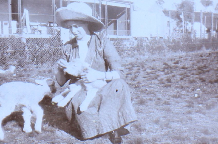 Unidentified woman with two pet lambs