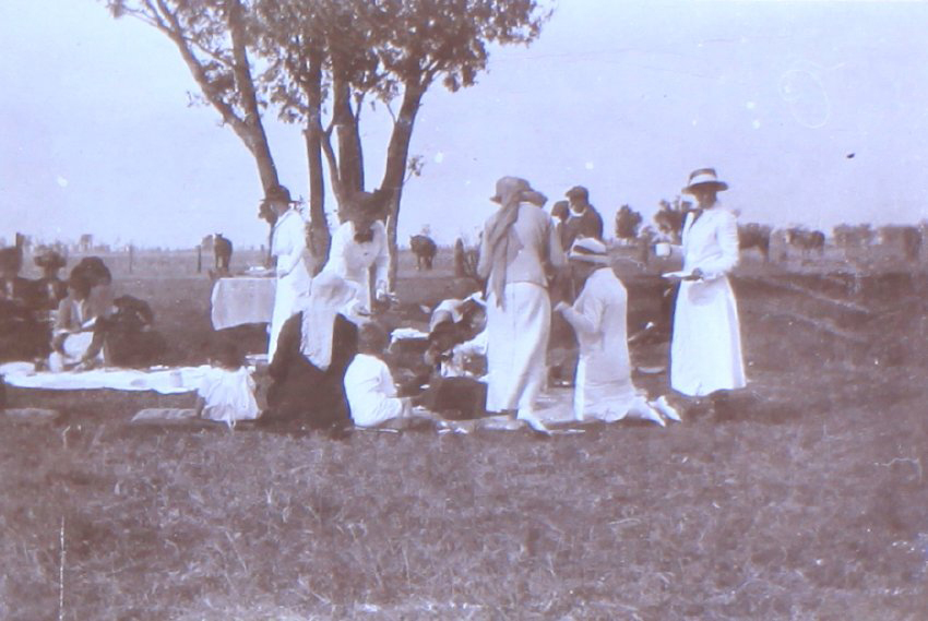 Unidentified group having a picnic