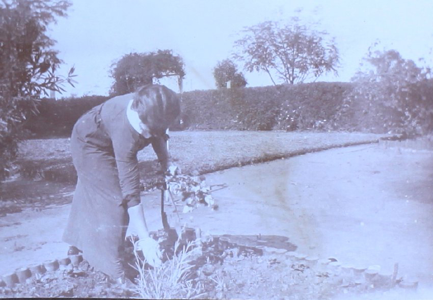 Unidentified woman picking flowers