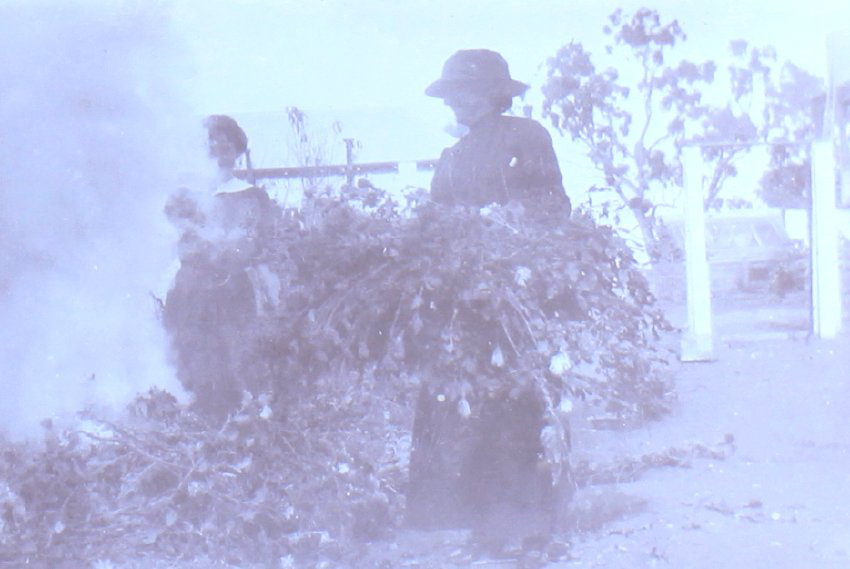 Unidentified women in garden burning garden clippings