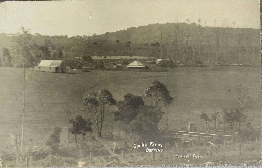 Cork's Farm, Dorrigo