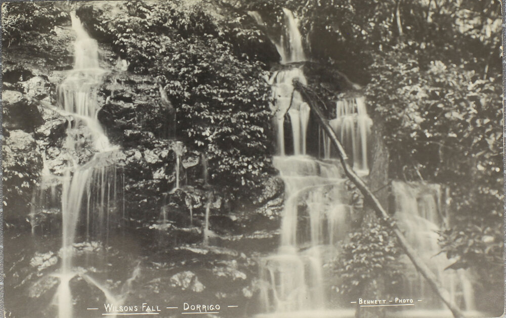 Wilson's Fall, Dorrigo