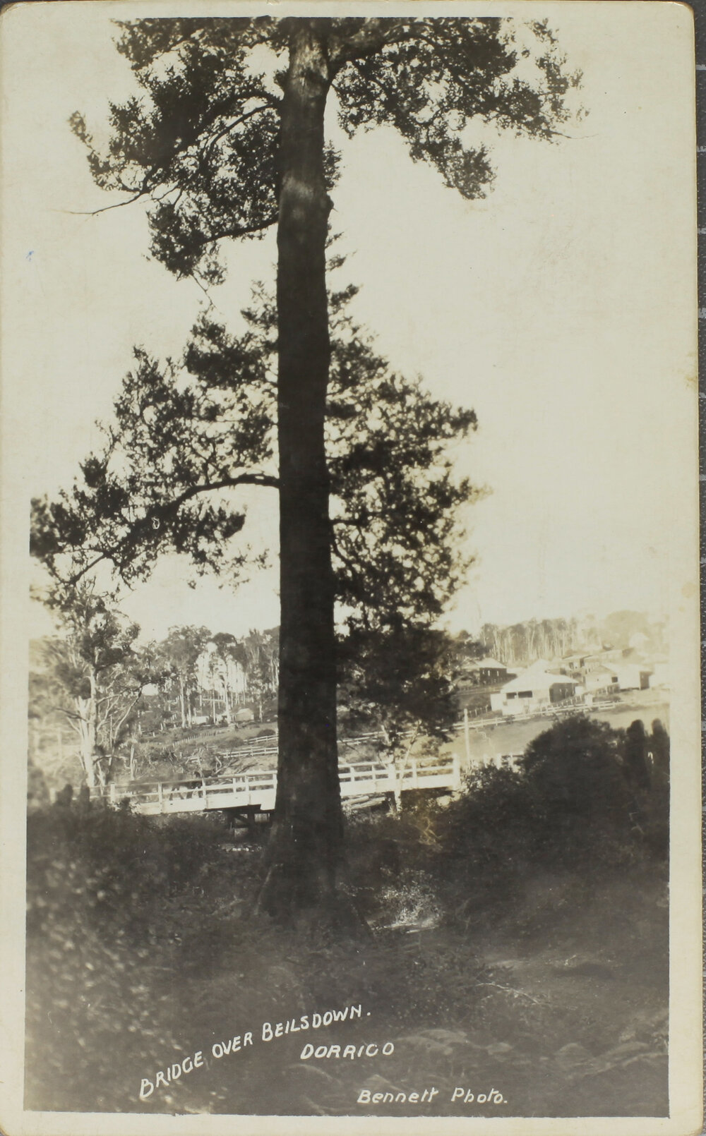 Bridge Over Beilsdown, Dorrigo