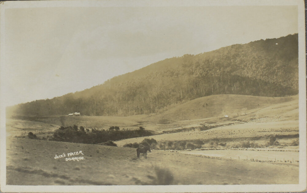 Jock's Water, Dorrigo