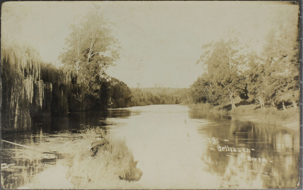 The Bellingen River