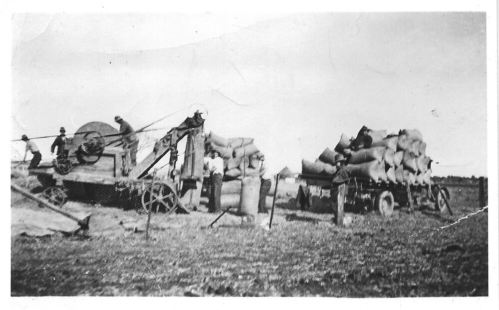 Double dump chaff cutter on the Solomon family farm at Furracabad, early 1930s