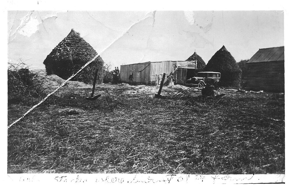 Oat stacks and barns on the Solomon family farm, Furracabad, 1930s