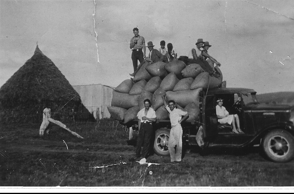 Oats loaded on a late 1920s Chevrolet truck and on the way to market from the Solomon family farm at Furracabad, early 1930s