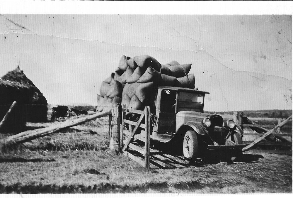Oats loaded on a late 1920s Chevrolet truck and on the way to market from the Solomon family farm at Furracabad, early 1930s.