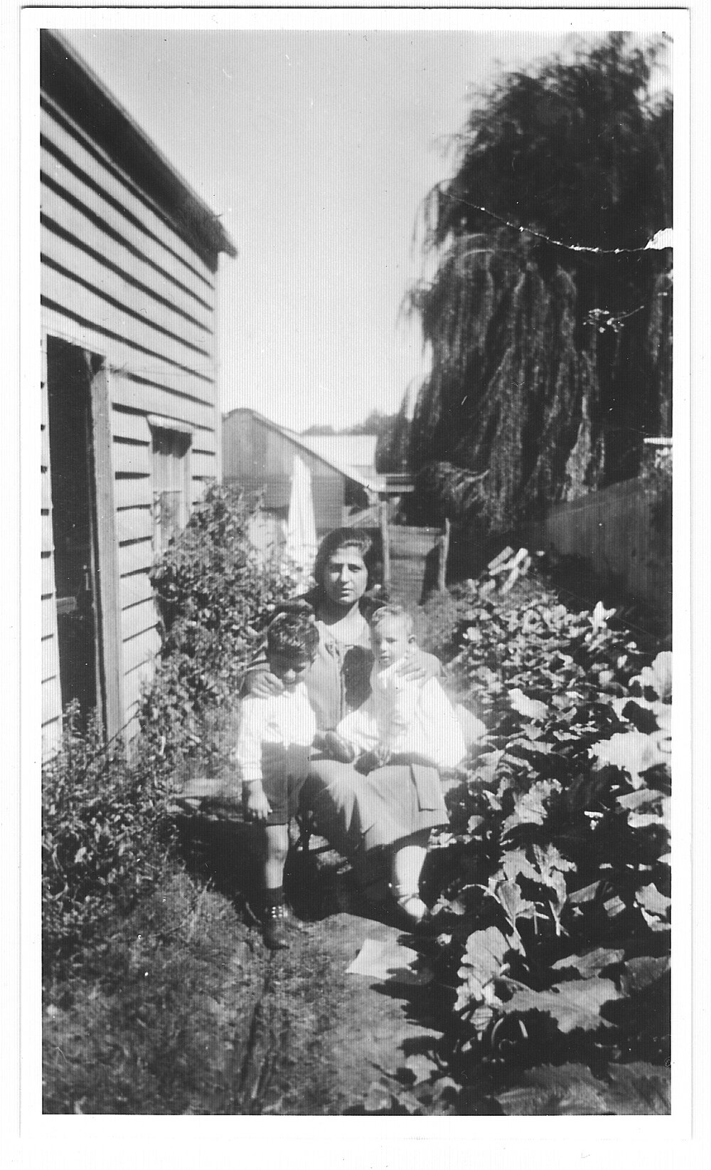 Ida Joseph with her two sons, Roy and Eric, in the garden in their first home behind the J.S. Draper store in Grey Street, Glen Innes, 1927